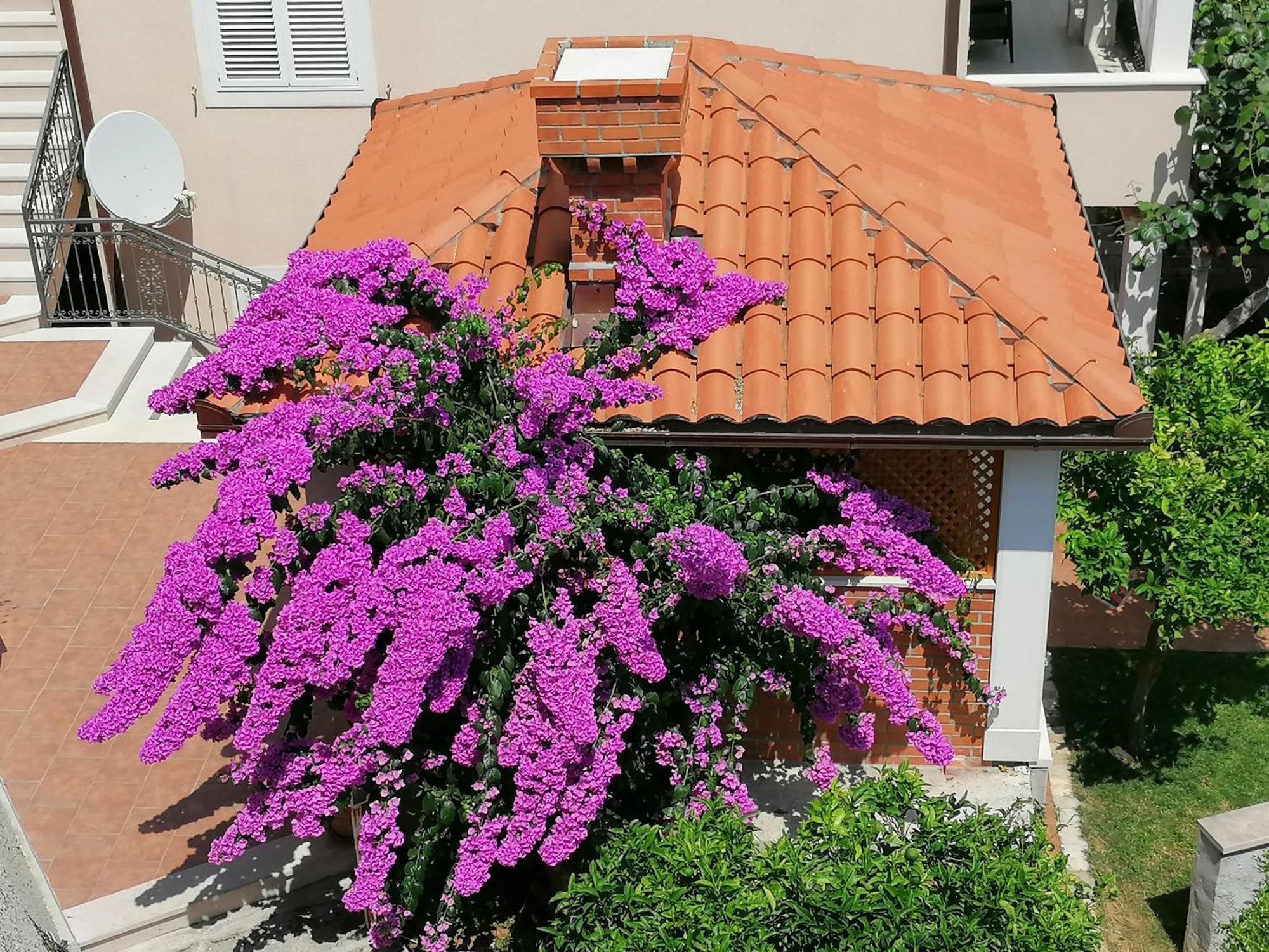Green Park Apartments 2 Dubrovnik Ngoại thất bức ảnh