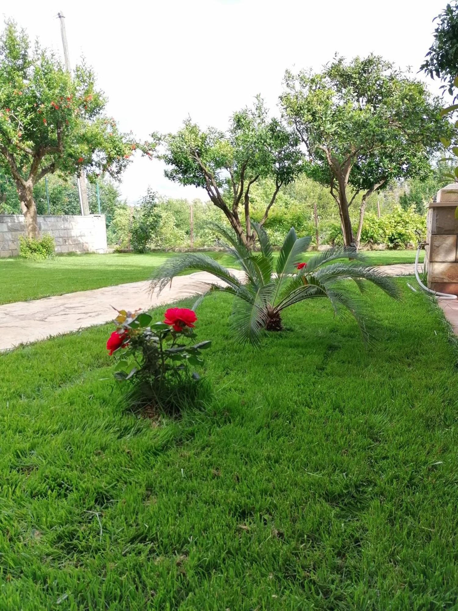 Green Park Apartments 2 Dubrovnik Ngoại thất bức ảnh
